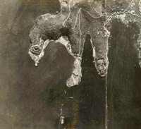 1945 - Ripresa aerea del Golfo del Varignano e di S.Maria