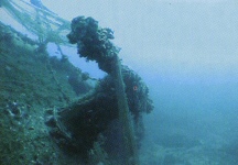 dragamine_filicudi_cannone