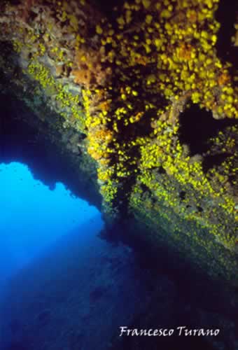 giallo_12.jpg