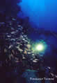 giallo_01.jpg