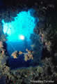 giallo_10.jpg