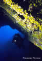 giallo_15.jpg
