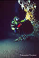 giallo_16.jpg