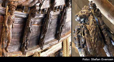 vasa6
